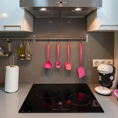 Apartment En El Centro De Con Parking