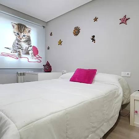 Appartement En El Centro De Con Parking