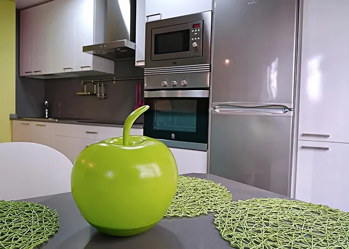 Apartmán En El Centro De Con Parking *