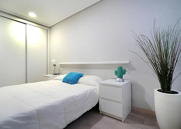 Apartmán En El Centro De Con Parking *